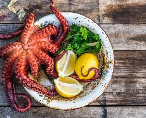 pulpo-gastronomia-restaurante-salamanca